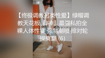 商场女厕全景后拍多位小姐姐尿尿各种美鲍一一展示 (1)