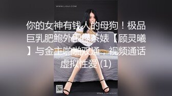 月新流出私房大神极品收藏商场女厕全景后拍系列黄衣高跟靓妹的极品一线馒头逼