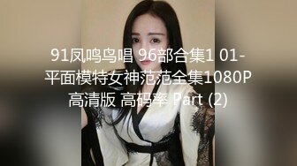 91凤鸣鸟唱 96部合集1 01-平面模特女神范范全集1080P高清版 高码率 Part (2)