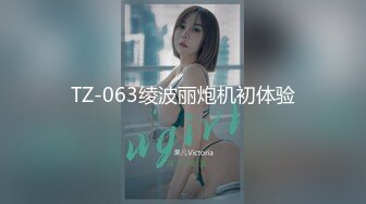 TZ-063绫波丽炮机初体验