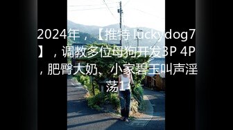 2024年，【推特 luckydog7】，调教多位母狗开发3P 4P，肥臀大奶、小家碧玉叫声淫荡1