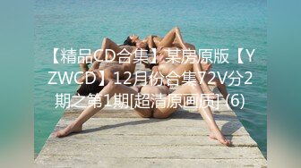 【精品CD合集】某房原版【YZWCD】12月份合集72V分2期之第1期[超清原画质] (6)