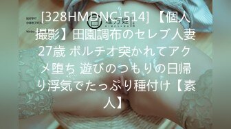 [328HMDNC-514] 【個人撮影】田園調布のセレブ人妻27歳 ポルチオ突かれてアクメ堕ち 遊びのつもりの日帰り浮気でたっぷり種付け【素人】