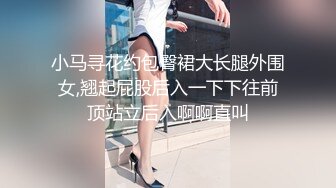 小马寻花约包臀裙大长腿外围女,翘起屁股后入一下下往前顶站立后入啊啊直叫