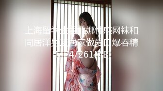 上海留学生吴丽娜性感网袜和同居洋男友居家做爱口爆吞精[MP4/261MB]