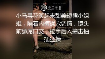 小马寻花笑起来甜美短裙小姐姐，隔着内裤揉穴调情，镜头前舔屌口交，拉手后入撞击抽插猛操