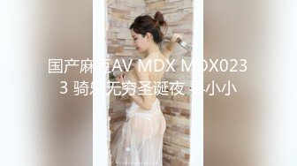 国产麻豆AV MDX MDX0233 骑乐无穷圣诞夜 寻小小