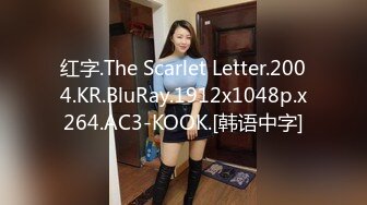 红字.The Scarlet Letter.2004.KR.BluRay.1912x1048p.x264.AC3-KOOK.[韩语中字]