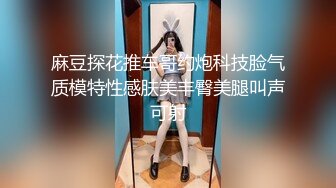 麻豆探花推车哥约炮科技脸气质模特性感肤美丰臀美腿叫声可射