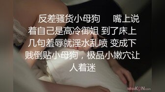 ❤️反差骚货小母狗❤️嘴上说着自己是高冷御姐 到了床上几句羞辱就淫水乱喷 变成下贱倒贴小母狗，极品小嫩穴让人着迷