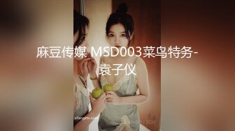 麻豆传媒 MSD003菜鸟特务-袁子仪