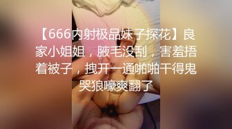 【666内射极品妹子探花】良家小姐姐，腋毛没刮，害羞捂着被子，拽开一通啪啪干得鬼哭狼嚎爽翻了