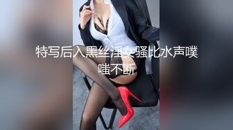 特写后入黑丝淫女骚比水声噗嗤不断