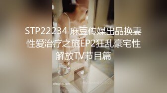 STP22234 麻豆传媒出品换妻性爱治疗之旅EP2狂乱豪宅性解放TV节目篇