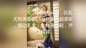 ❤️❤️❤️ Stripchat站，巨乳尤物美御姐，一对豪乳超柔软，震动乳夹，丝袜高跟鞋，齐逼短裤