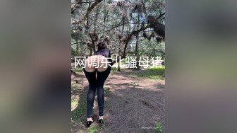 网调东北骚母猪